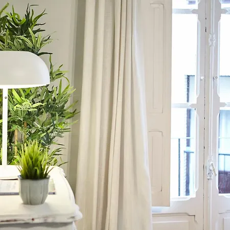 Bergara San Sebastian