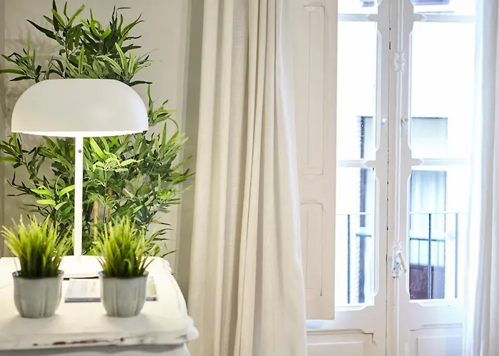 Bergara 圣塞瓦斯蒂安